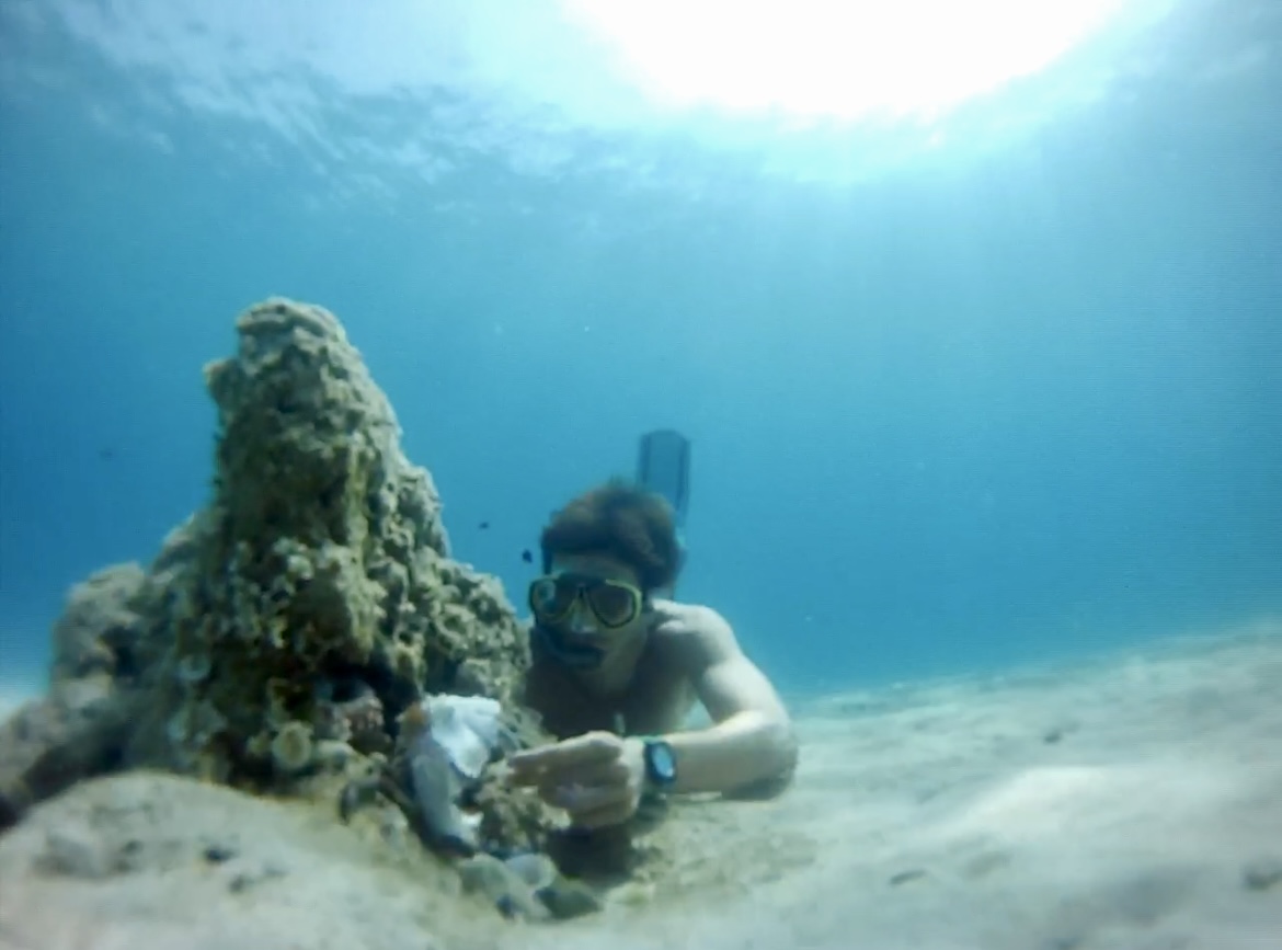 Tour en paddle surf y snorkel en barco hundido - Imagen 11